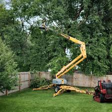 Best Tree Maintenance Programs  in Winthrop, IA